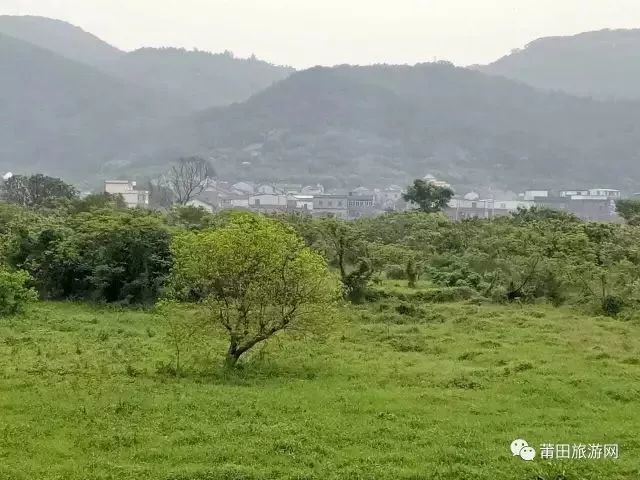 大东,蒜溪水畔的涵江美丽乡村