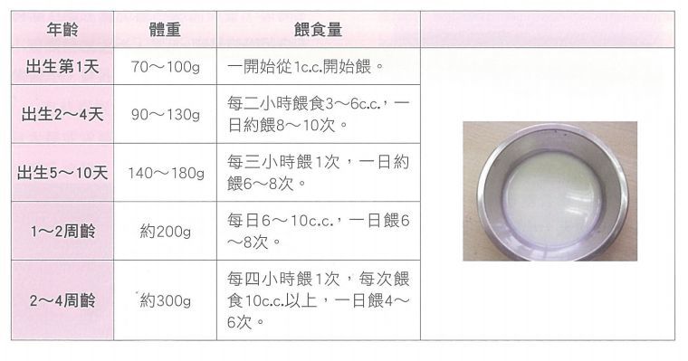 幼猫喂食与猫粮转换表