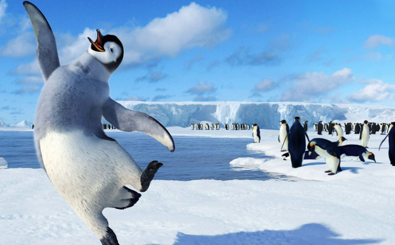 在现存17种企鹅中,分布在南纬77度的阿德利企鹅,可以说是企鹅界中最没