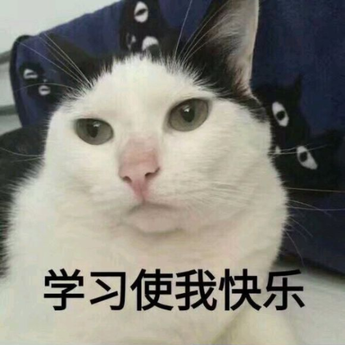 可爱猫咪搞笑表情包:我读书少,你不要骗我啊!