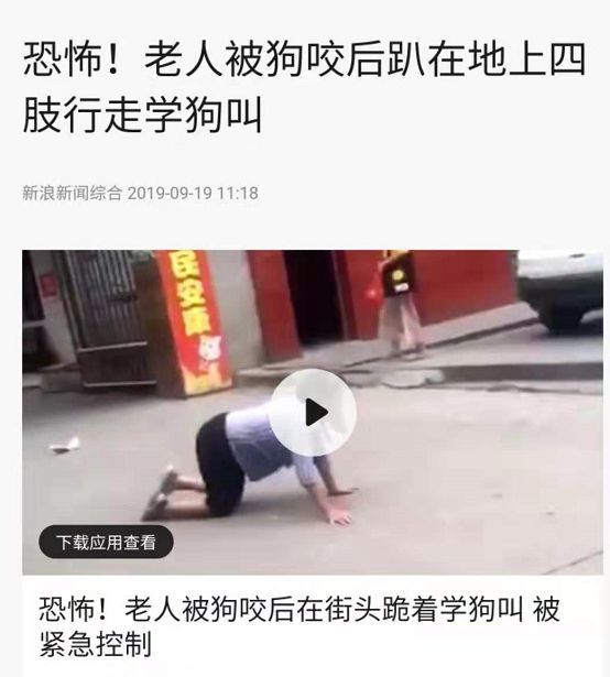 被狗咬就会学狗爬?妈妈,我想学英语,快找个老外来咬我!