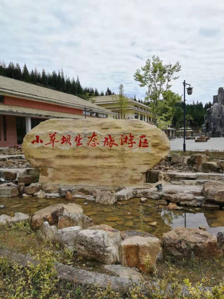 重庆市文化和旅游协会组织考察云南彝良小草坝生态