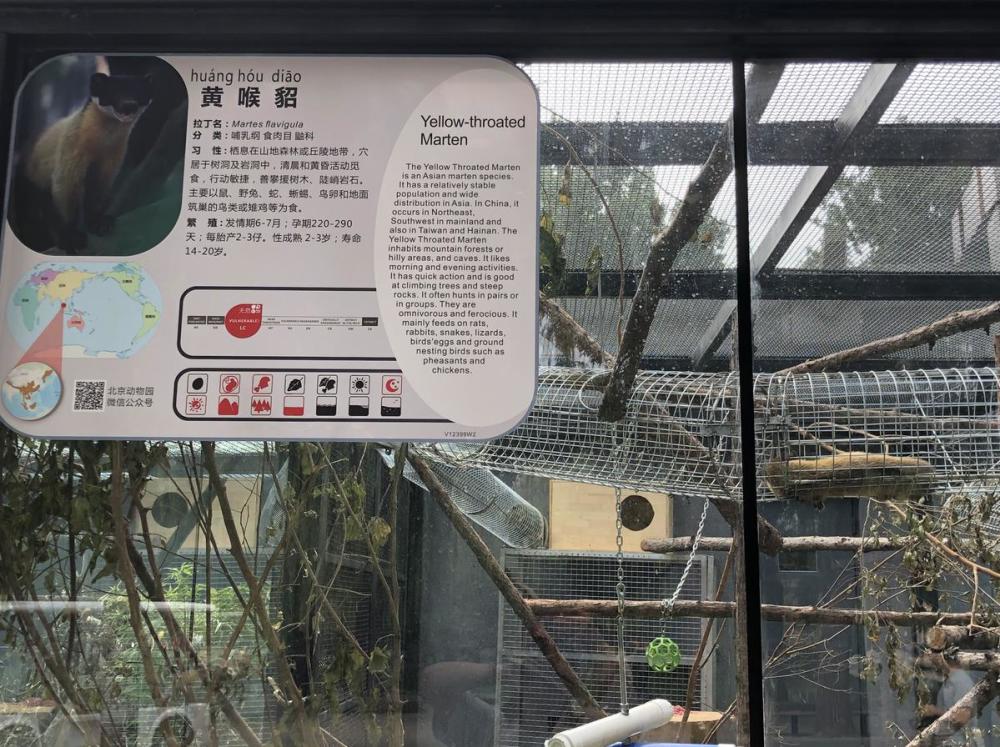 北京动物园动物说明牌上新了!增加了"给小朋友的小