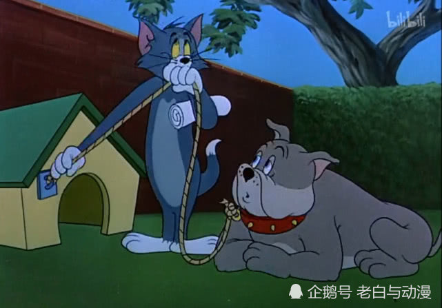 《猫和老鼠》里的名场景,汤姆欺负斯派克,告诉你什么