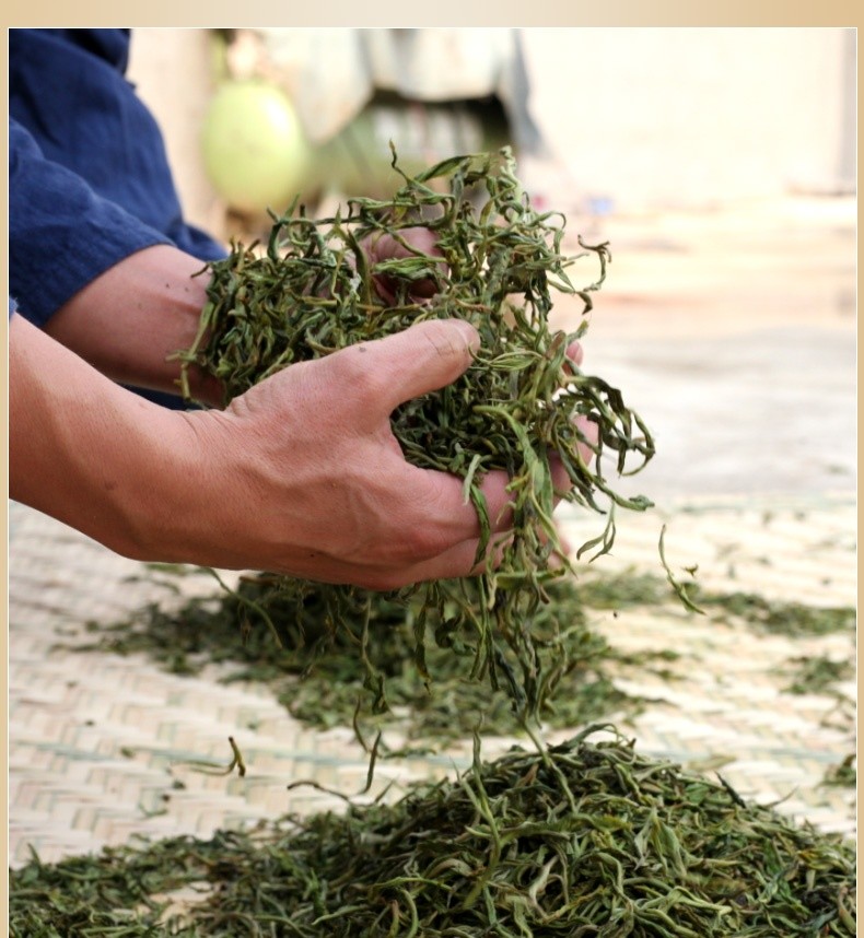 滇红茶制作工艺:鲜叶—萎凋—揉捻—发酵—塑型—烘干—挑拣—烘焙