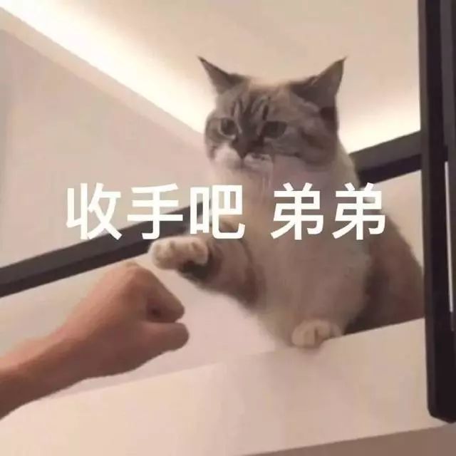 迷茫地扣扣头