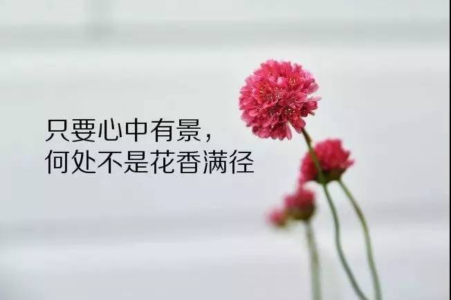 深入人心的人生哲理感悟语录,非常走心的早安心语