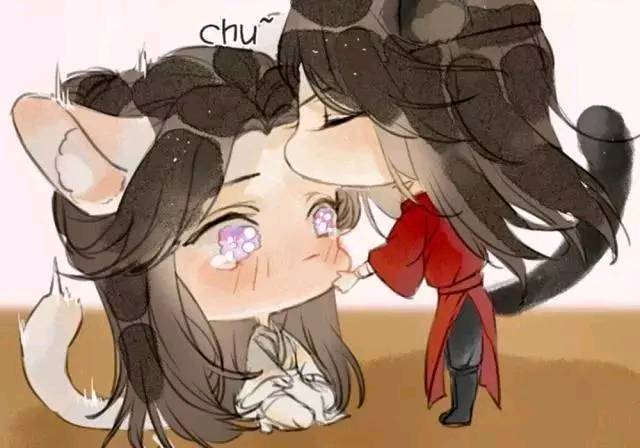 天官赐福:谢怜玩毛线球,捣蛋鬼花城惹谢怜生气,秒怂认错