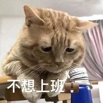 猫咪表情包我太难了我想静静