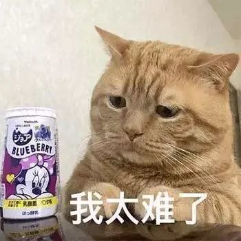 猫咪表情包我太难了我想静静