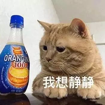 猫咪表情包:我太难了,我想静静