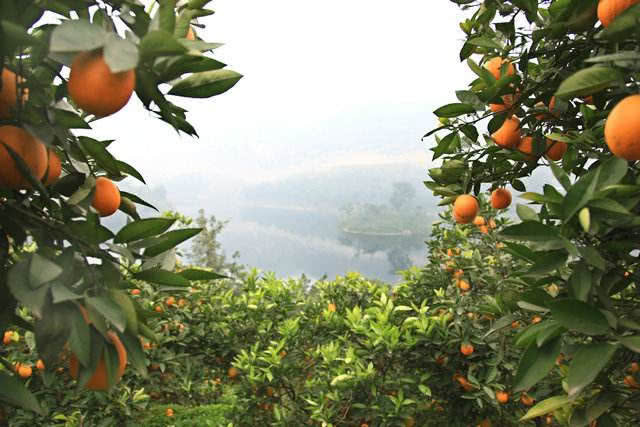 金秋时节，来江津游古镇、品美食，打卡六大景区赢精美大礼