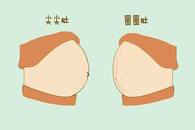 怀孕后从肚子变化看出生男生女来看科学解释怎么说