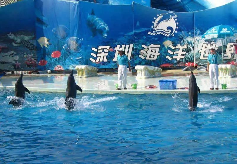 2019年国庆假期深圳旅游推荐的十大景点