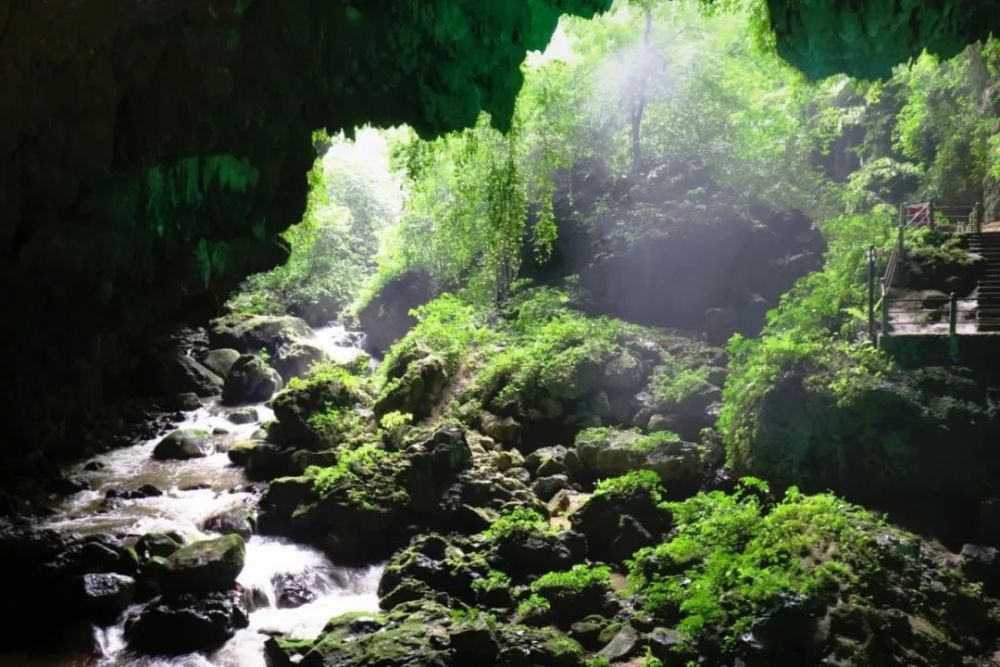 探原始溶洞,赏亚热带雨林——在广西通灵大峡谷惊遇