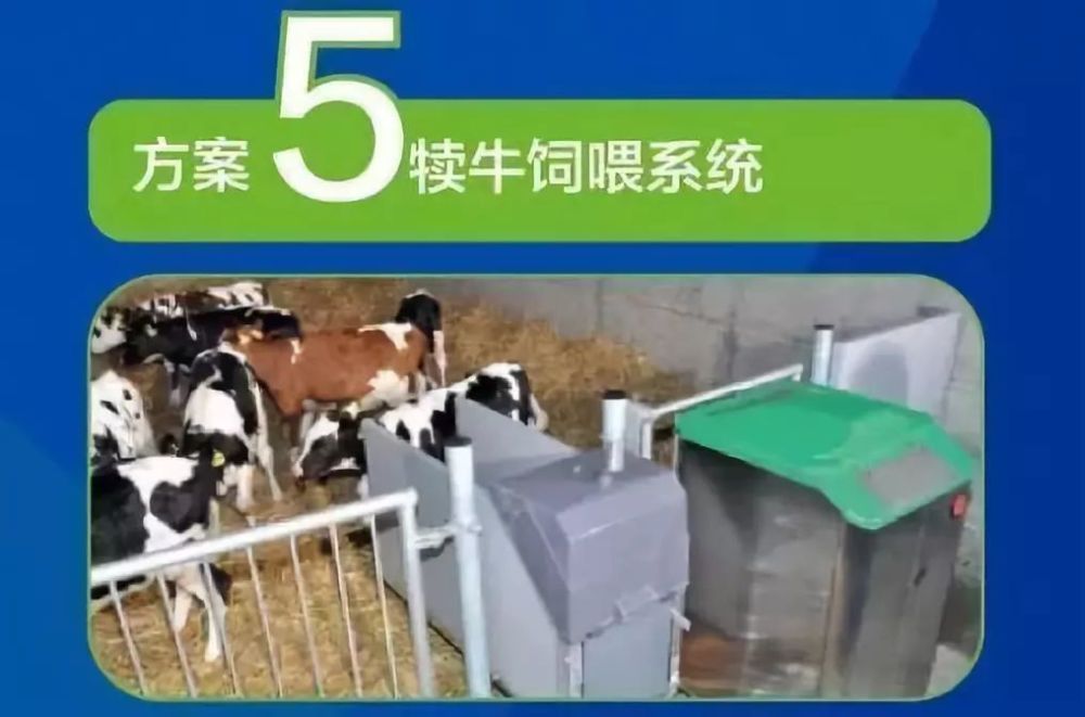 自动跟踪曲线定量饲喂,提高犊牛饲喂质量;避免传统饲喂系统集中供奶的