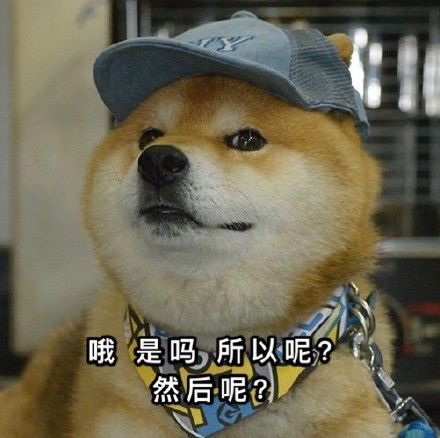 表情|| 沙雕柴犬表情包