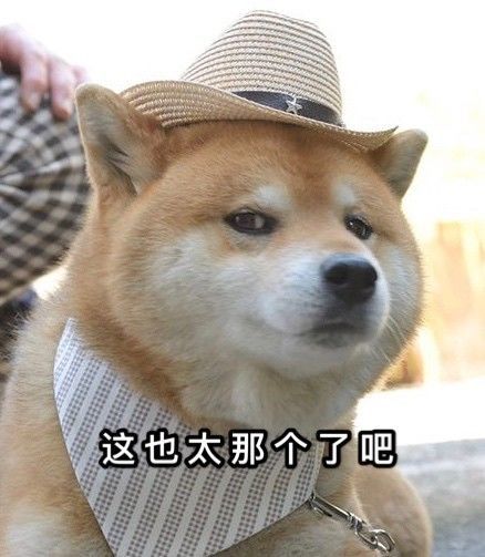 表情 沙雕柴犬表情包