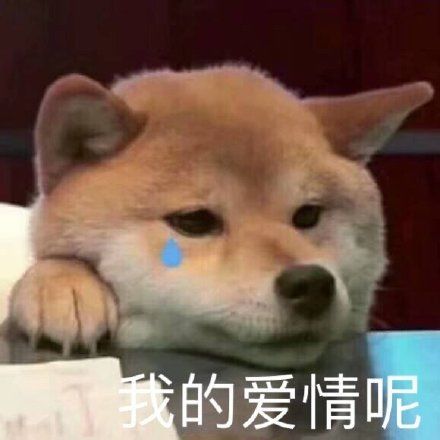 表情|| 沙雕柴犬表情包