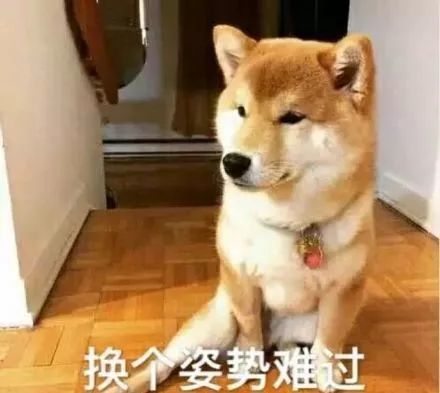 表情|| 沙雕柴犬表情包