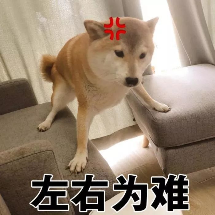 2020上海缴纳个税人口_个税缴纳清单