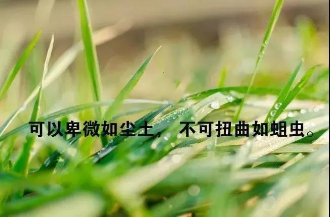 2019最潮的一句经典说说句子,感悟人生的现实句子