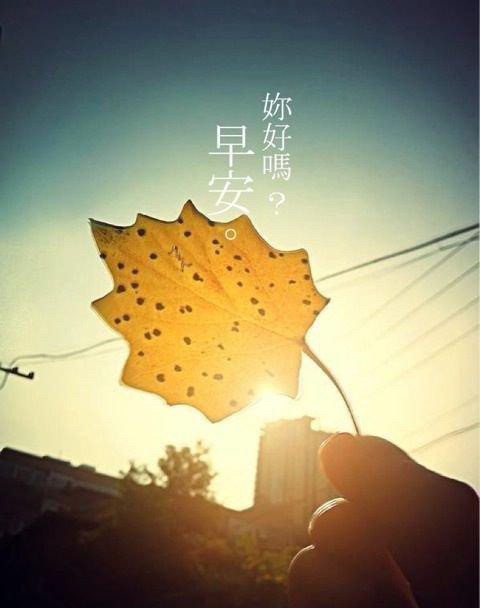 温馨早安问候,给亲爱的她吧!