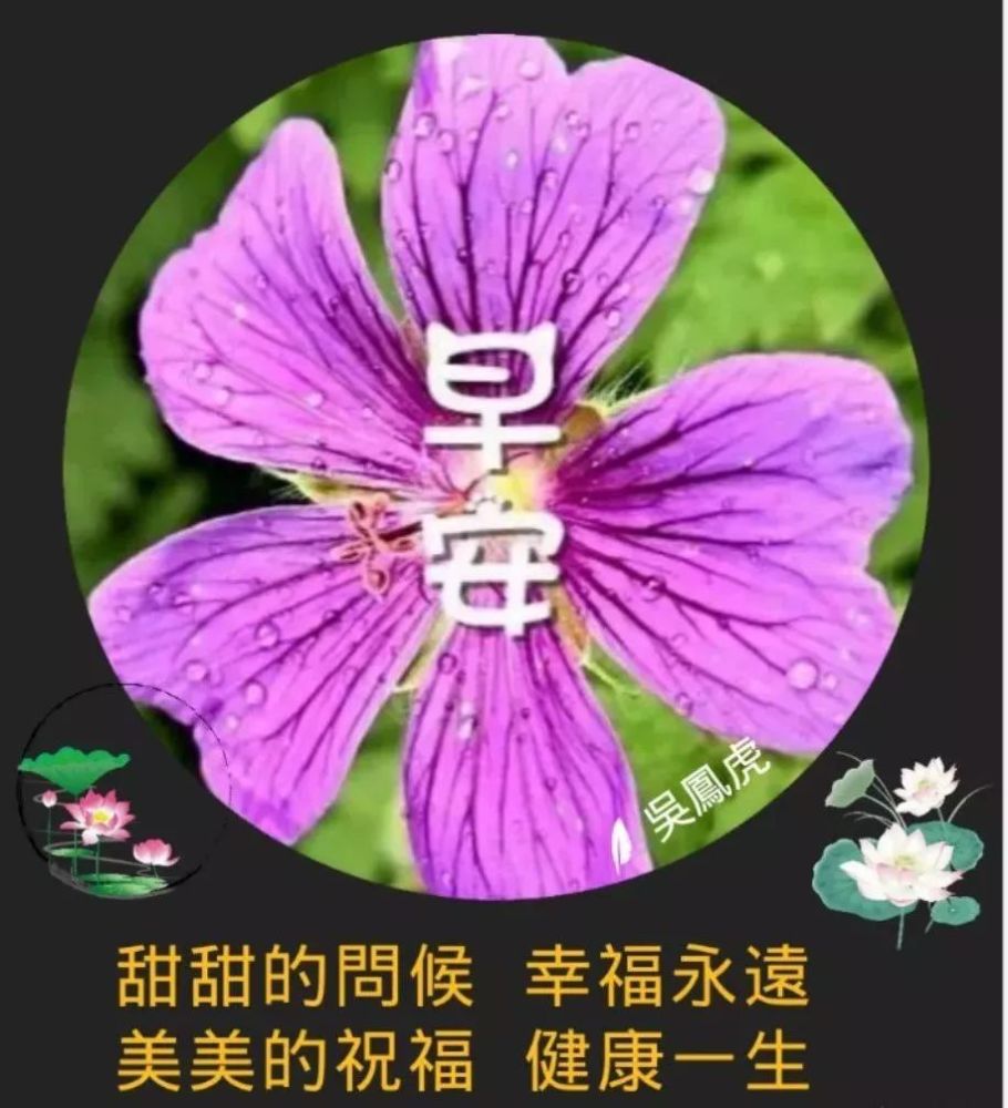 最新漂亮群发早安问候祝福语图片带字微信群早上好问候图片带字温馨