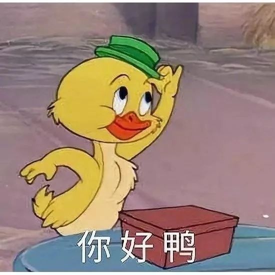 我的小可爱们下午好啊