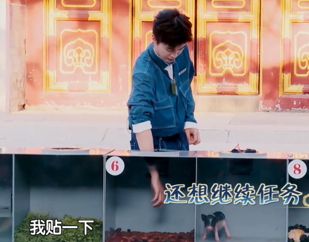 范丞丞录节目不小心磕到手,谁注意他下意识反应?网友