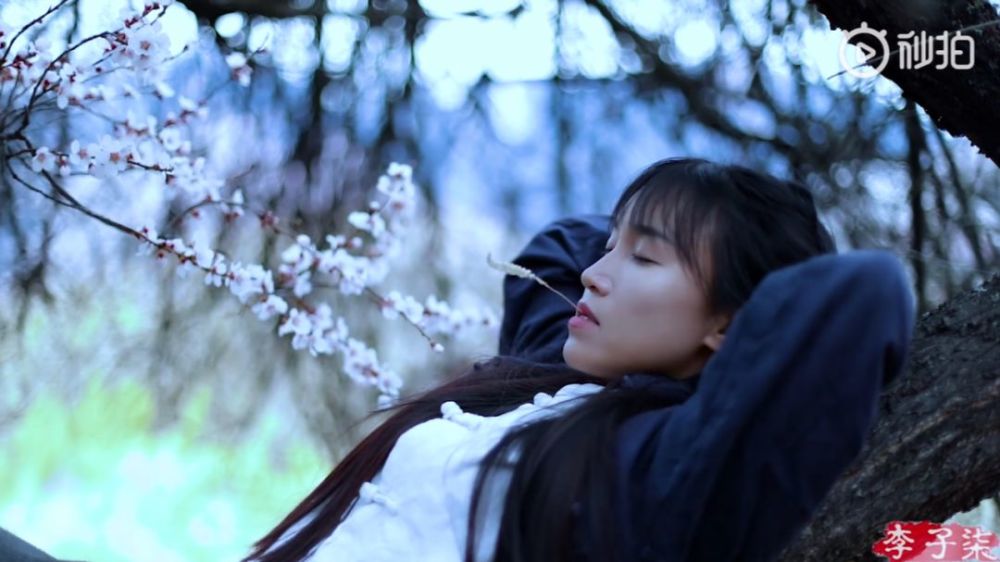 李子柒的后院，终于明白为什么2000万人羡慕她