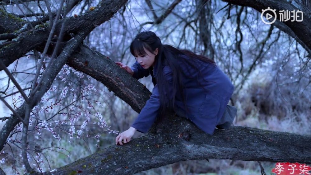 李子柒的后院，终于明白为什么2000万人羡慕她