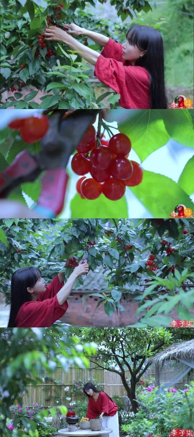 李子柒的后院，终于明白为什么2000万人羡慕她