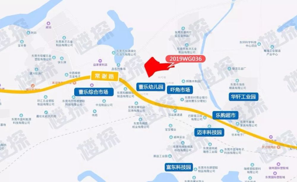 编号为2019wg036地块位于谢岗镇曹乐村,附近主要道路有工业大道,谢