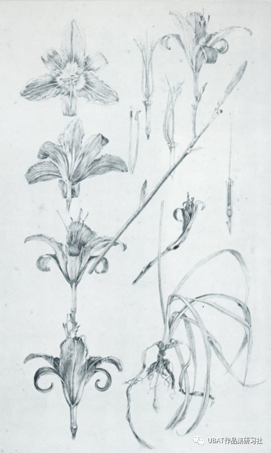 为特征的 装饰风格叫「新艺术运动」(artnouveau).