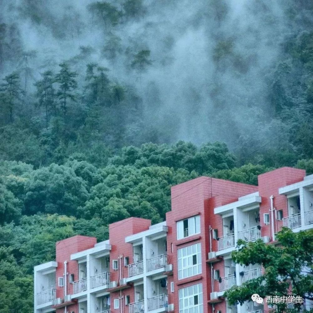 听说川外的宿舍都是"豪华山景房"?