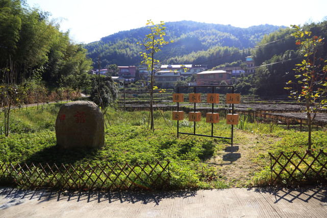 美丽乡村示范村—永春县外山乡草洋村