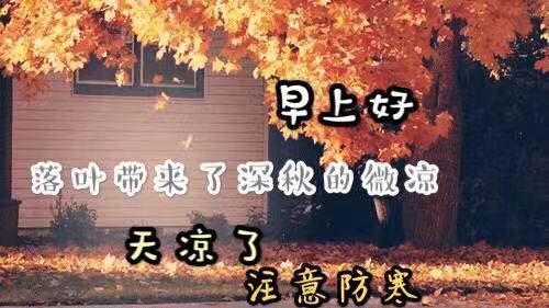 冬季问候大家早上好漂亮落叶纷飞图片带字清晨早上好问候动图说说