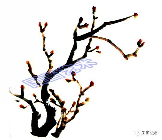 图文教程写意牡丹叶子与枝干画法