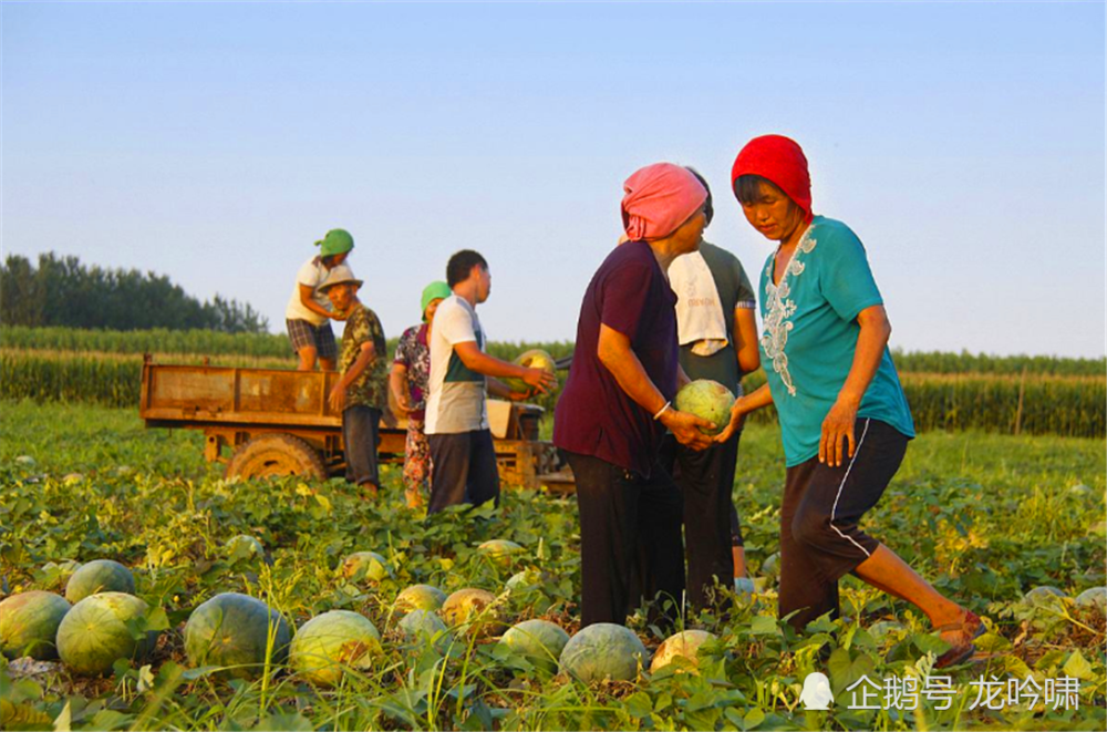 俗语"分种地,伙种瓜,一屋不住两三家"有啥含义?还有这讲究?