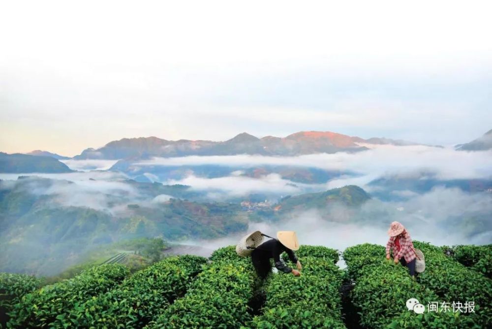 福安范坑:昔日边远特困乡 而今迈步阳关道