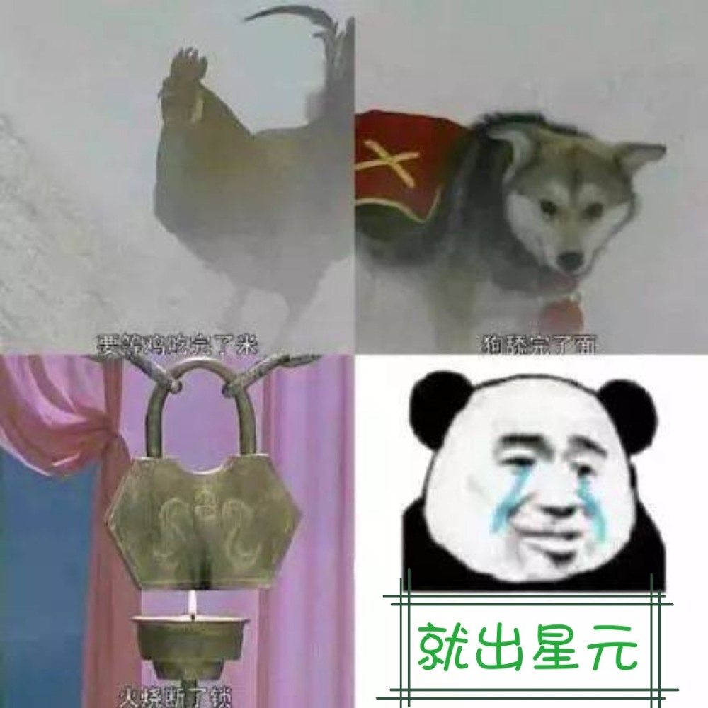 两只狗一堆火猜成语_看图猜成语(3)