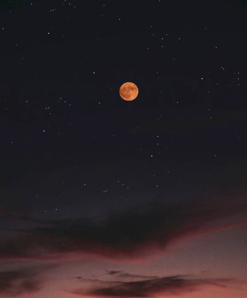 月夜朦胧背景图:柔和的月光下,花儿也睡着了
