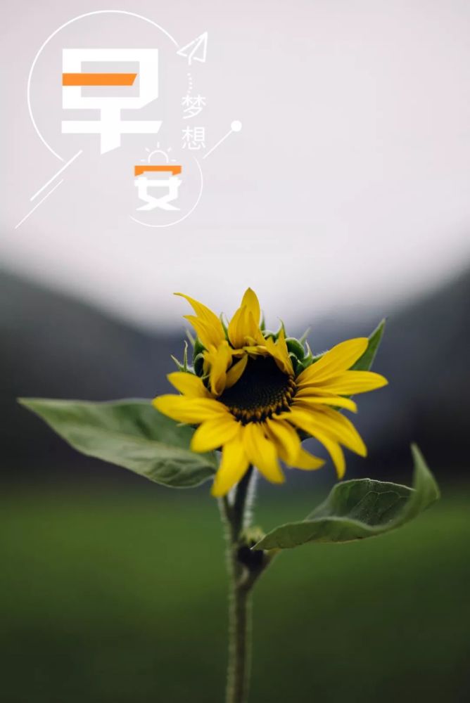 早安励志心语早安正能量句子图片,正能量语录早安心语