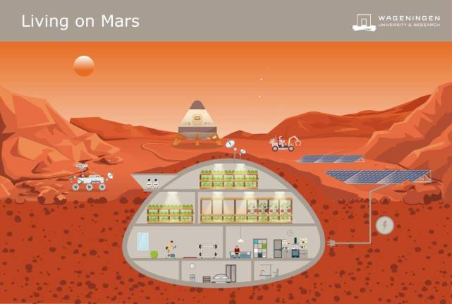 对人类来说,火星是新家园,还是不宜生存的毁灭之地?