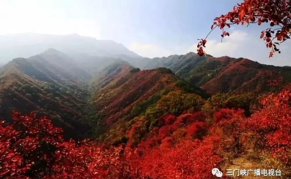 甘山国家森林公园开园啦看红叶去