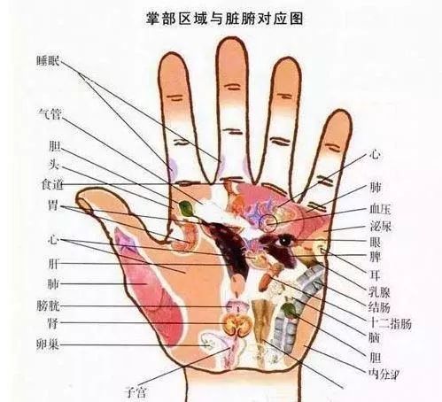 在手掌中,蕴涵生命与健康的信息,掌握一点手掌诊疗知识,你就是自己最