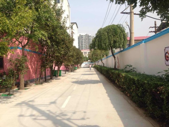 招标人为漯河市源汇区顺河街办事处,建设资金已落实,建设资金来自财政