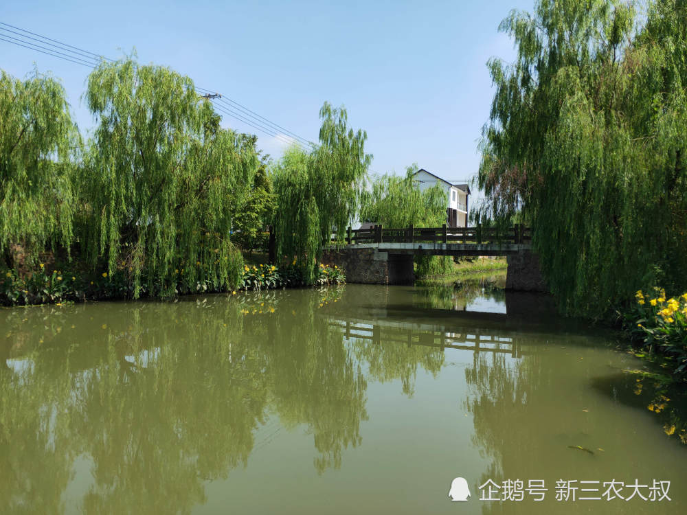浙江嘉善县美丽乡村 大云镇东云村 国庆旅游好去处