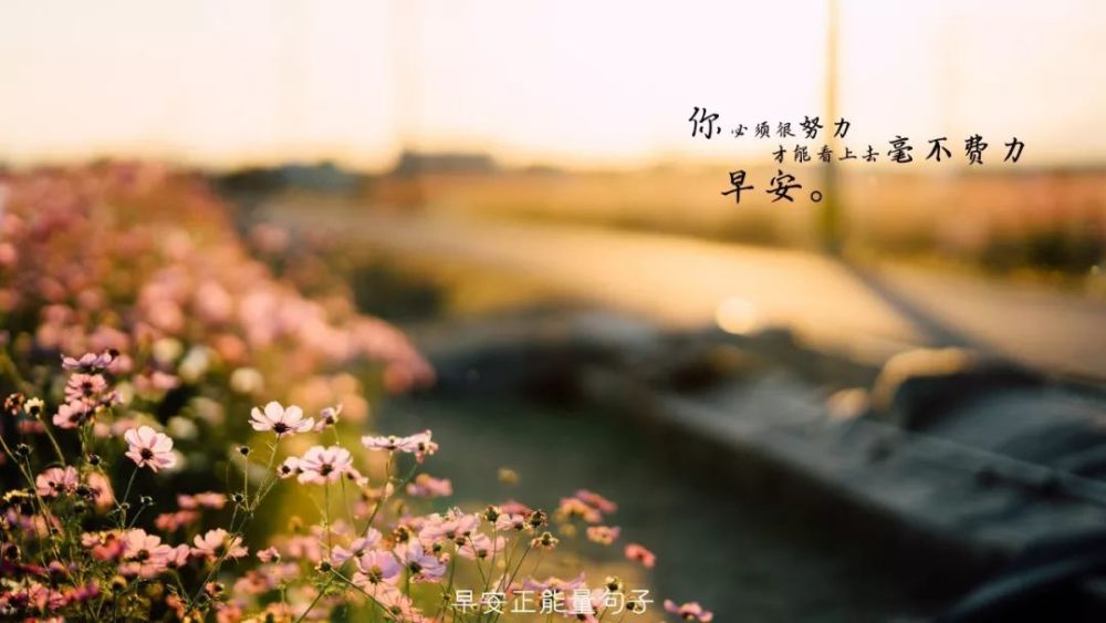 早安心语优美的语句 早安心语图片带字句子
